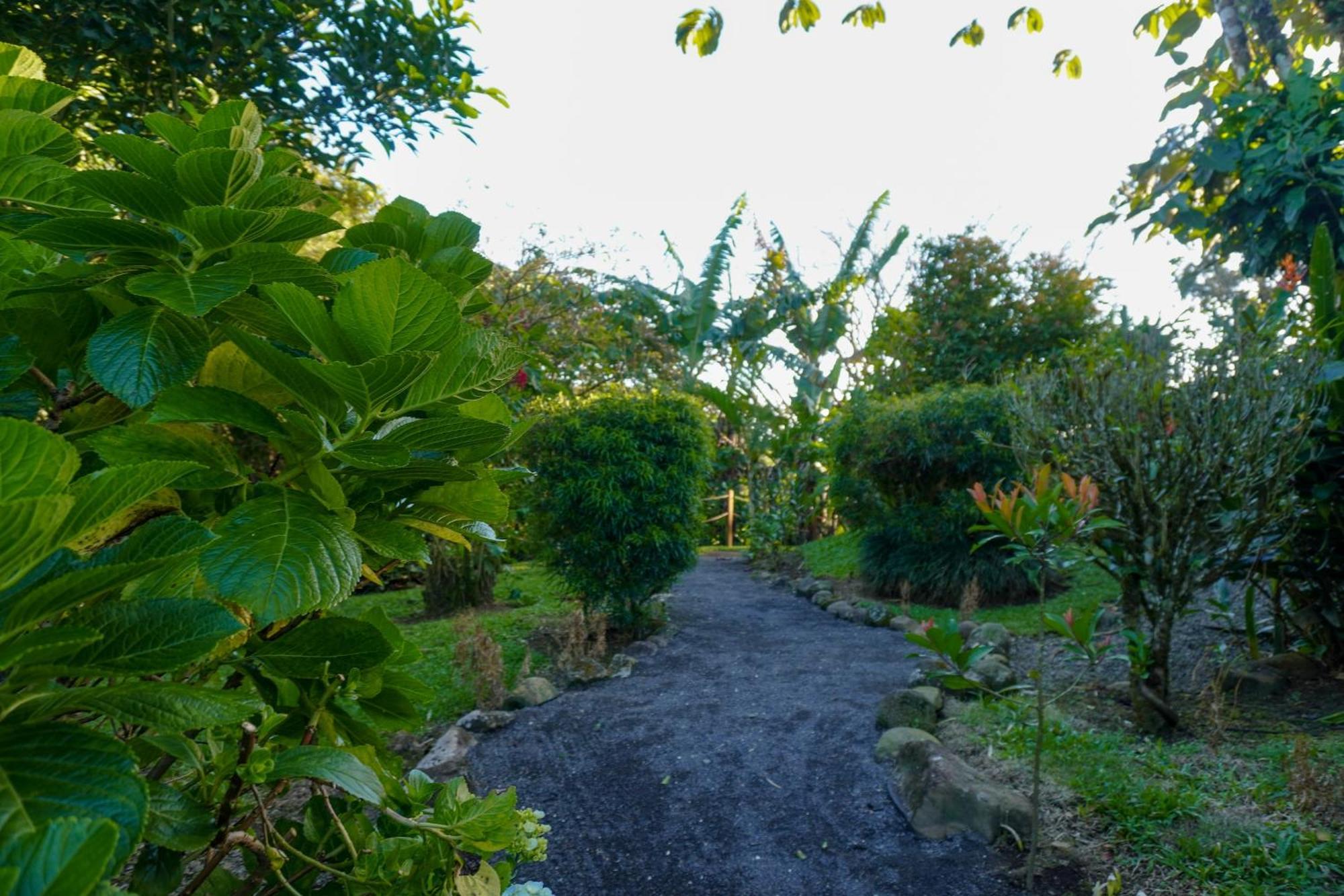 Sueno Rio Celeste Boutique B&B Bijagua Exterior photo